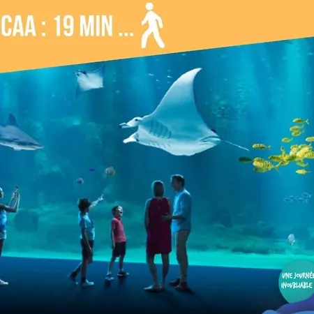 L'oeil Du Photographe - Galerie - Idealement Situe